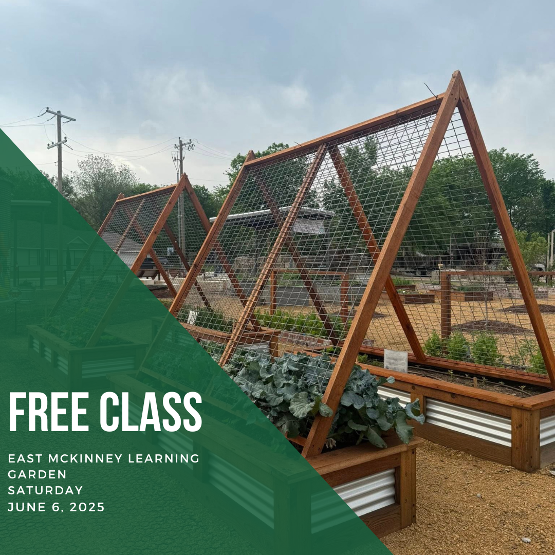 Free Class